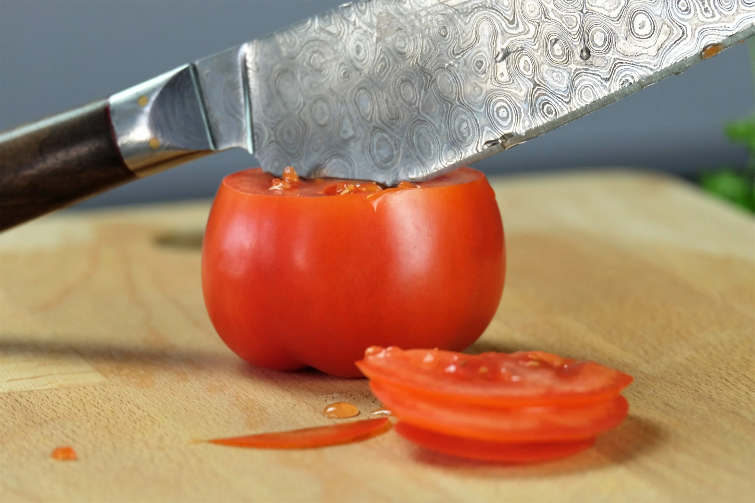 Null Sternsteiger Germanicum Arminius Kochmeser 5 Null Sternsteiger Germanicum Arminius Kochmeser – Bild 3