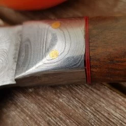 Null Sternsteiger Germanicum Arminius Kochmeser 14 Null Sternsteiger Germanicum Arminius Kochmeser -Null Shop 635cf717 6d51 4232 a883 ddb327463984 scaled