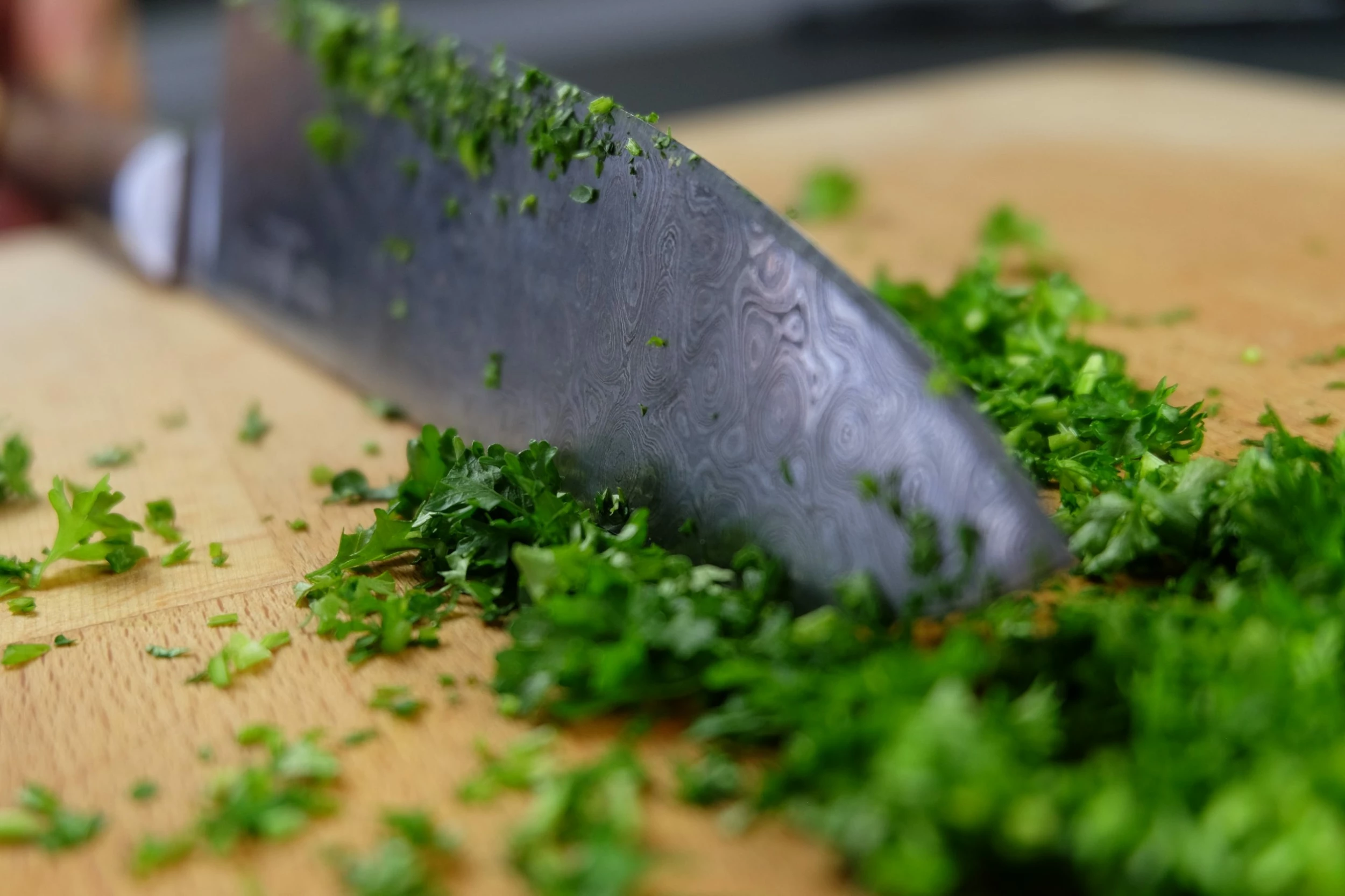 Null Sternsteiger Germanicum Arminius Kochmeser 7 Null Sternsteiger Germanicum Arminius Kochmeser – Bild 5