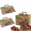 Null 250x Obsttragetaschen Tragetaschen Aus Kraftpapier 90gr. 320+215x240mm 1 Null 250x Obsttragetaschen Tragetaschen Aus Kraftpapier 90gr. 320+215x240mm -Null Shop 75f88e10 c6e6 4f7d bab3 c20d9bb5340f